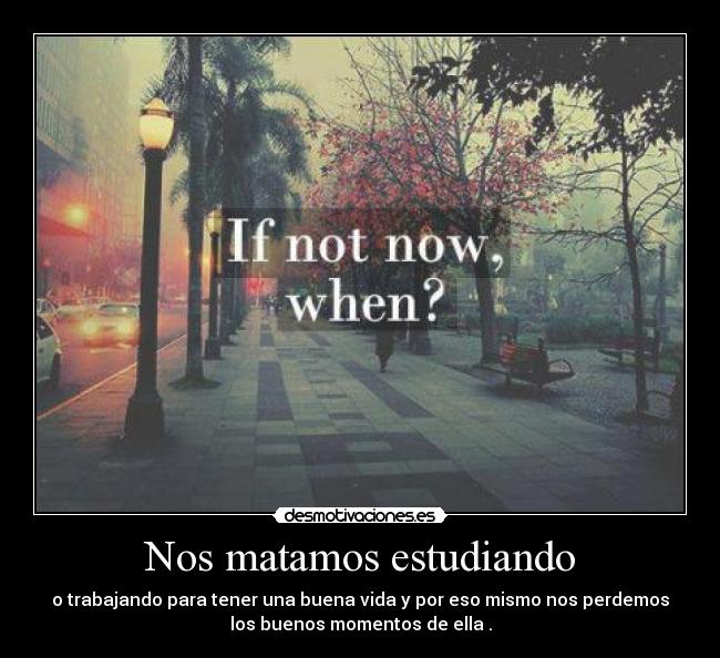 Nos matamos estudiando -