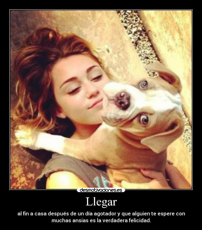 Llegar - al fin a casa después de un día agotador y que alguien te espere con
muchas ansias es la verdadera felicidad.