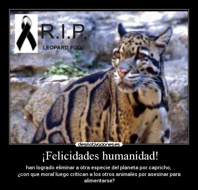 ¡Felicidades humanidad! -