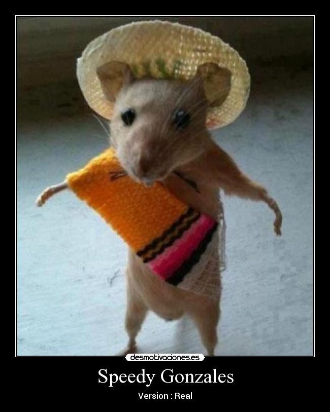 Speedy Gonzales - Version : Real