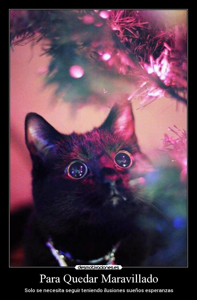 Para Quedar Maravillado - Solo se necesita seguir teniendo ilusiones sueños esperanzas