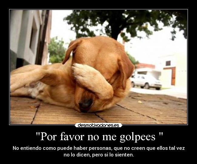 Por favor no me golpees - No entiendo como puede haber personas, que no creen que ellos tal vez
no lo dicen, pero si lo sienten.