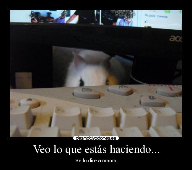 Veo lo que estás haciendo... - Se lo diré a mamá.