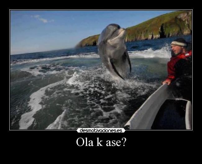 Ola k ase? -