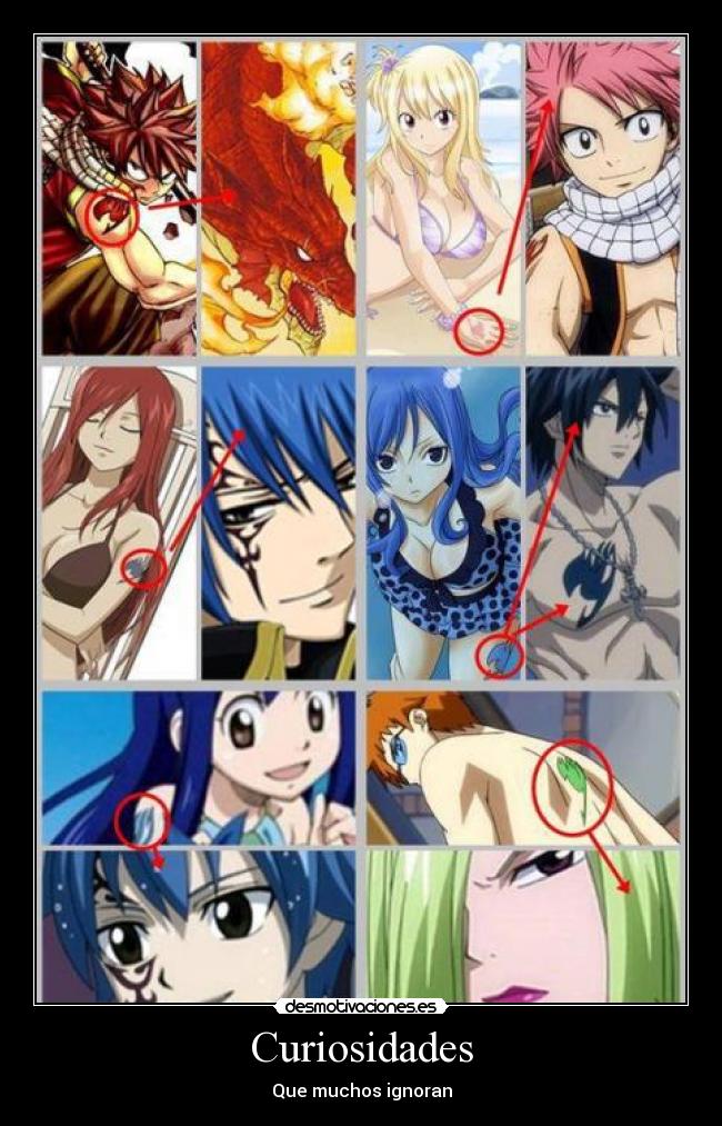 carteles fairy tail anime manga curiosidades natsu lucy gray erza desmotivaciones