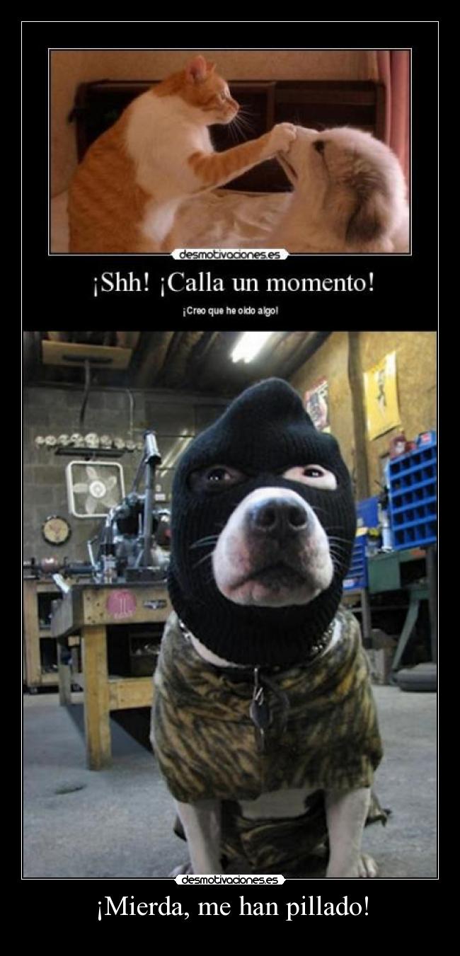 carteles perro ladron desmotivaciones