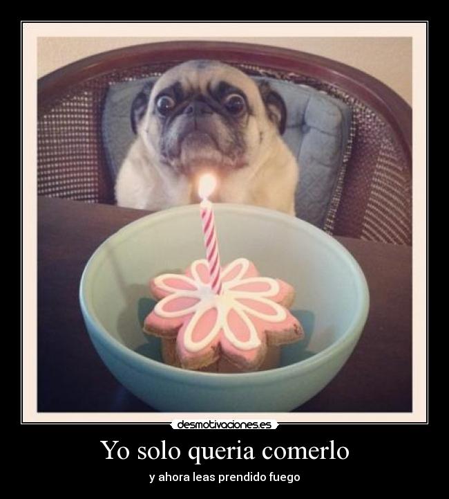 carteles perro cumplenos fuego desmotivaciones