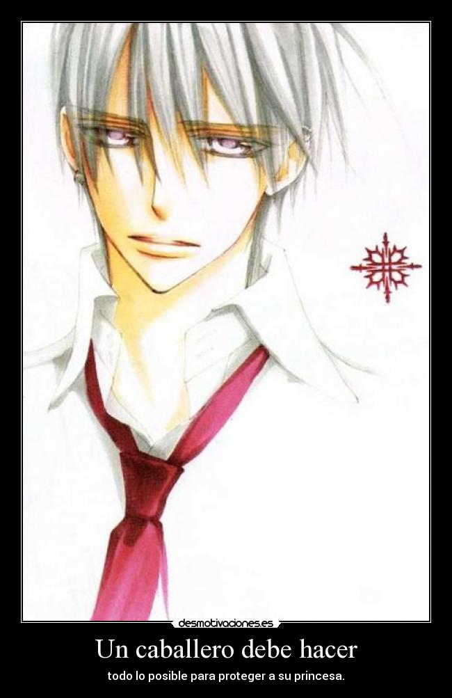 Un caballero debe hacer - todo lo posible para proteger a su princesa.