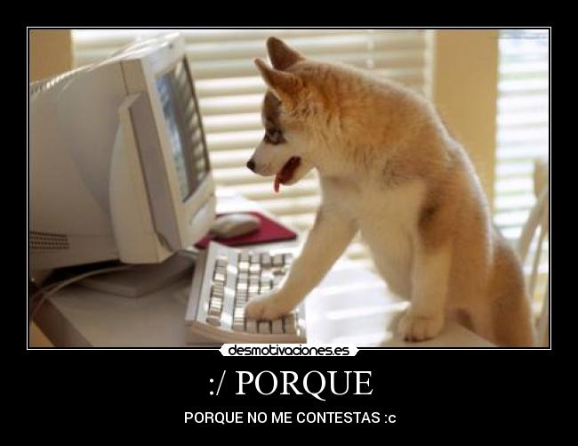 :/ PORQUE - PORQUE NO ME CONTESTAS :c