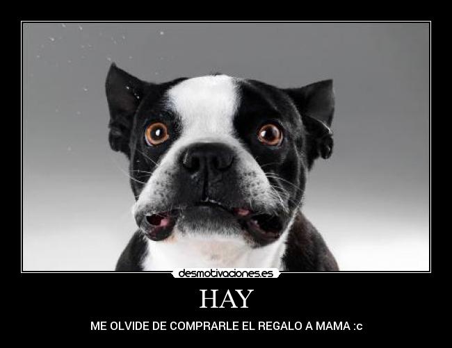 HAY - ME OLVIDE DE COMPRARLE EL REGALO A MAMA :c