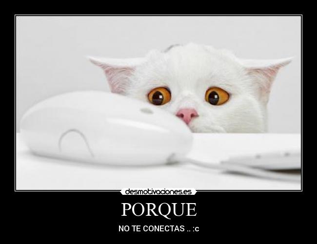 PORQUE - NO TE CONECTAS .. :c