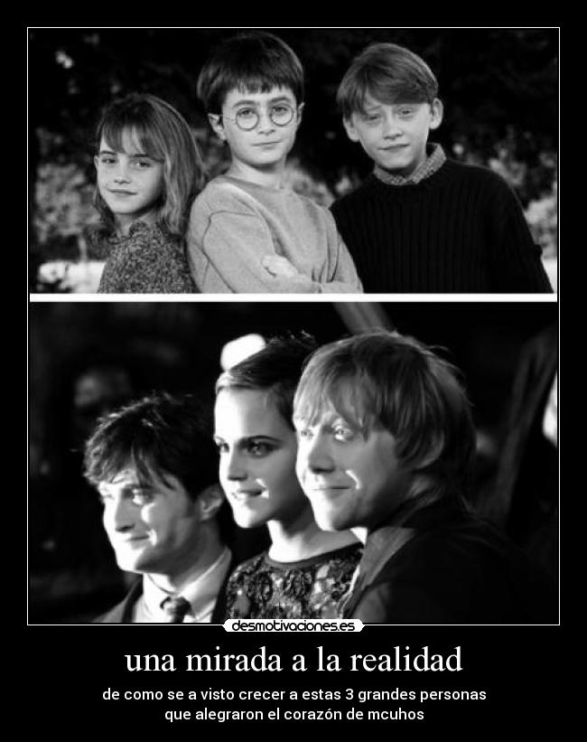 una mirada a la realidad - 