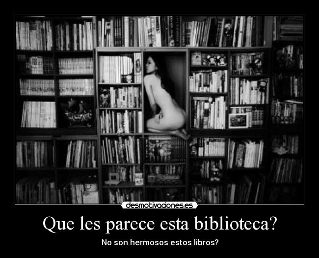 Que les parece esta biblioteca? -