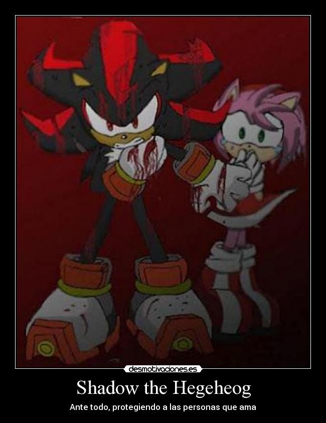 Shadow the Hegeheog - Ante todo, protegiendo a las personas que ama