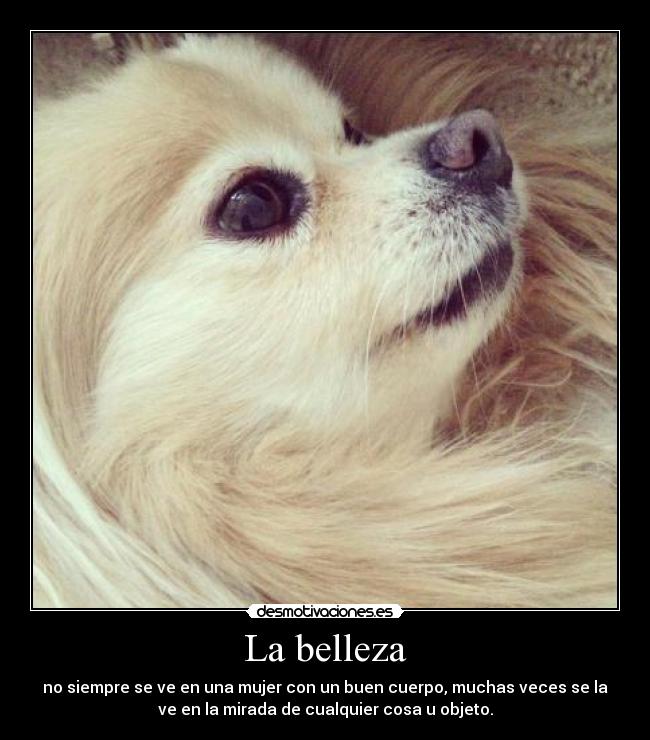 La belleza - no siempre se ve en una mujer con un buen cuerpo, muchas veces se la
ve en la mirada de cualquier cosa u objeto.
