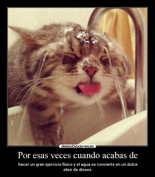 Por esas veces cuando acabas de - hacer un gran ejercicio físico y el agua se convierte en un dulce elixir de dioses.