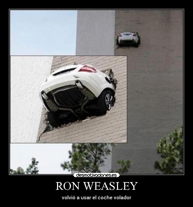 RON WEASLEY -