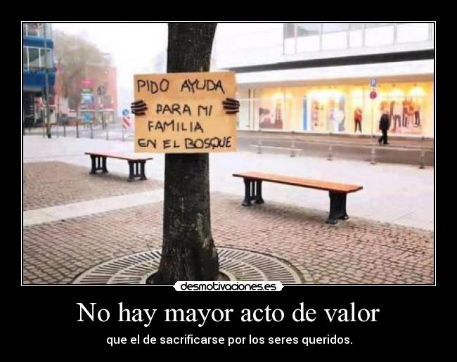 carteles del arbol que fue ciudad desmotivaciones