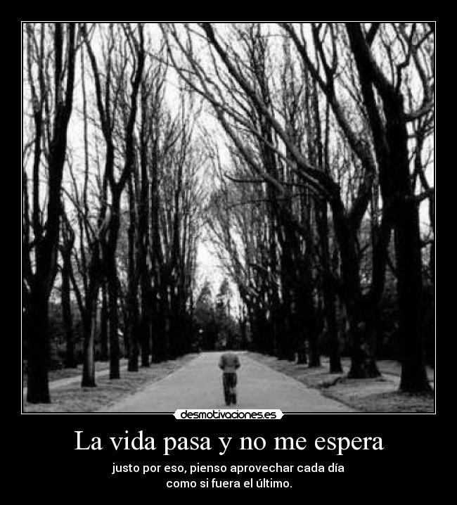 La vida pasa y no me espera - justo por eso, pienso aprovechar cada día
como si fuera el último.