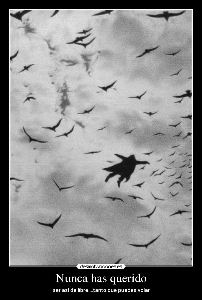 Nunca has querido - ser así de libre....tanto que puedes volar