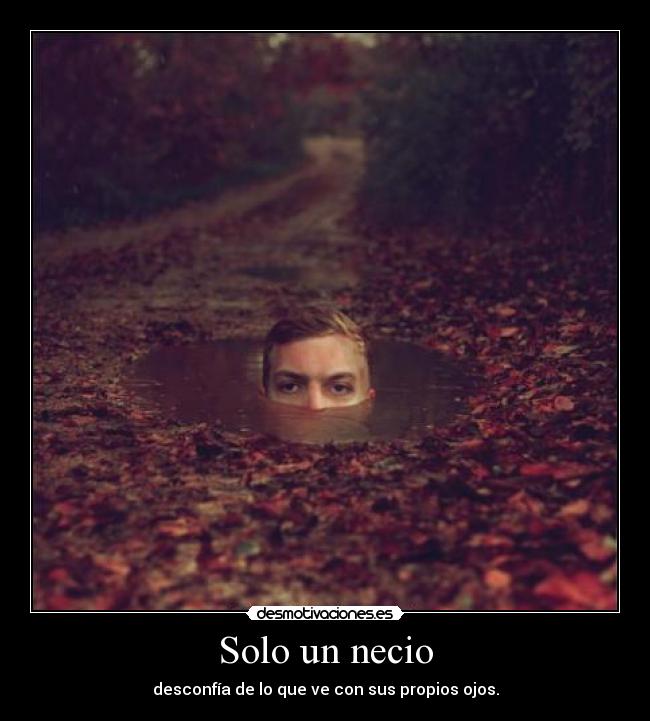 Solo un necio - desconfía de lo que ve con sus propios ojos.