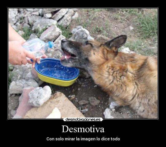 Desmotiva - Con solo mirar la imagen lo dice todo