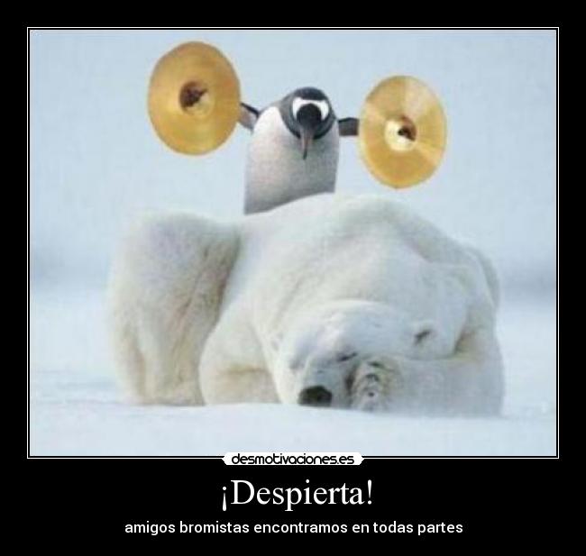 ¡Despierta! -