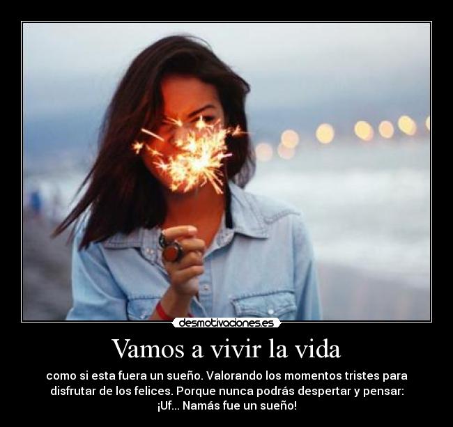 carteles vida vida desmotivaciones