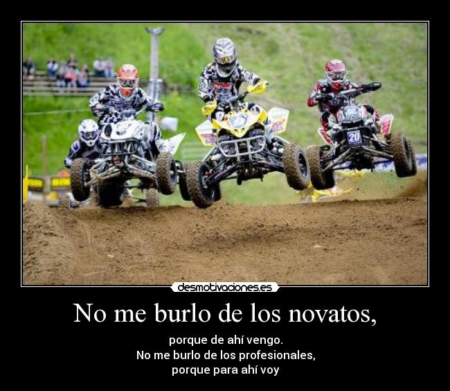 No me burlo de los novatos, -