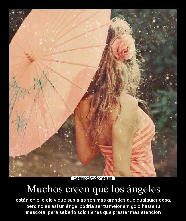 Muchos creen que los ángeles - están en el cielo y que sus alas son mas grandes que cualquier cosa,
pero no es así un ángel podría ser tu mejor amigo o hasta tu
mascota, para saberlo solo tienes que prestar mas atención