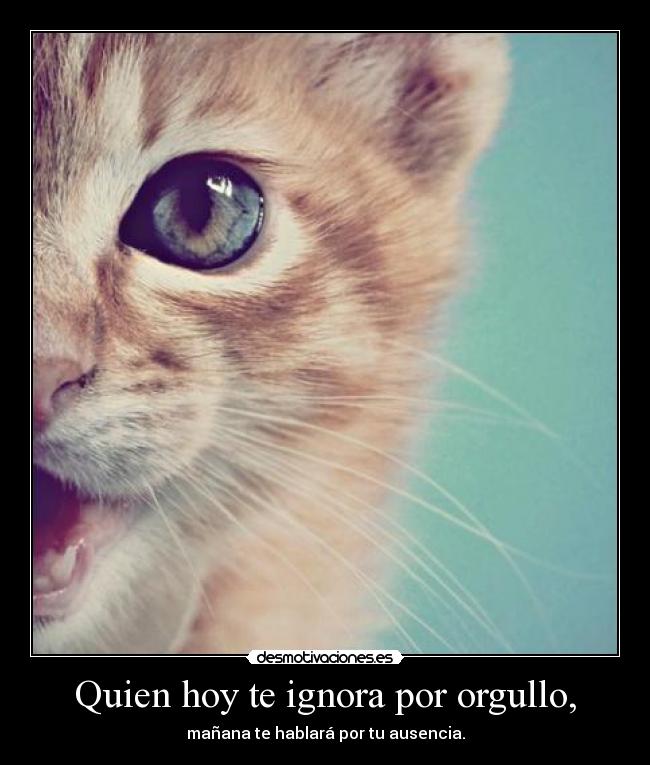 Quien hoy te ignora por orgullo, - mañana te hablará por tu ausencia.