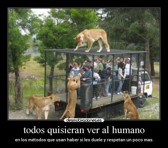todos quisieran ver al humano - en los métodos que usan haber si les duele y respetan un poco mas.
