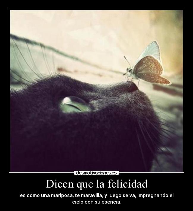 Dicen que la felicidad - 