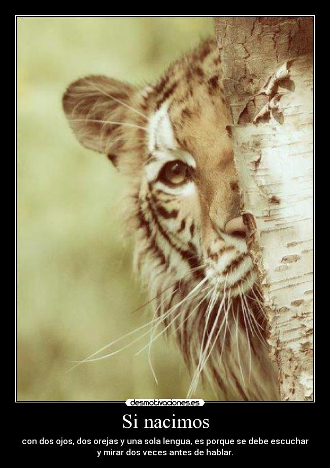 carteles nacimos desmotivaciones