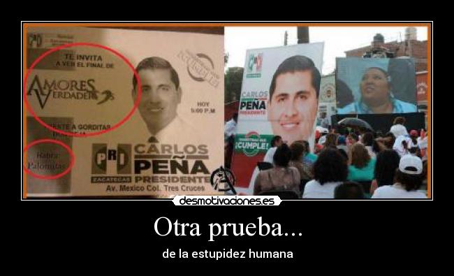 Otra prueba... - de la estupidez humana