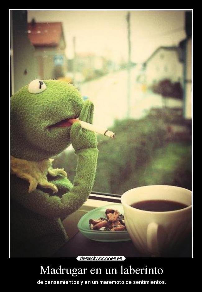 Madrugar en un laberinto - de pensamientos y en un maremoto de sentimientos.