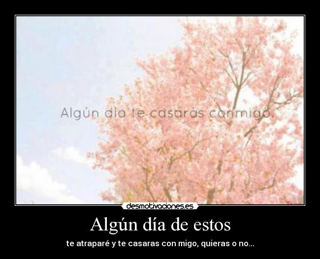 Algún día de estos -