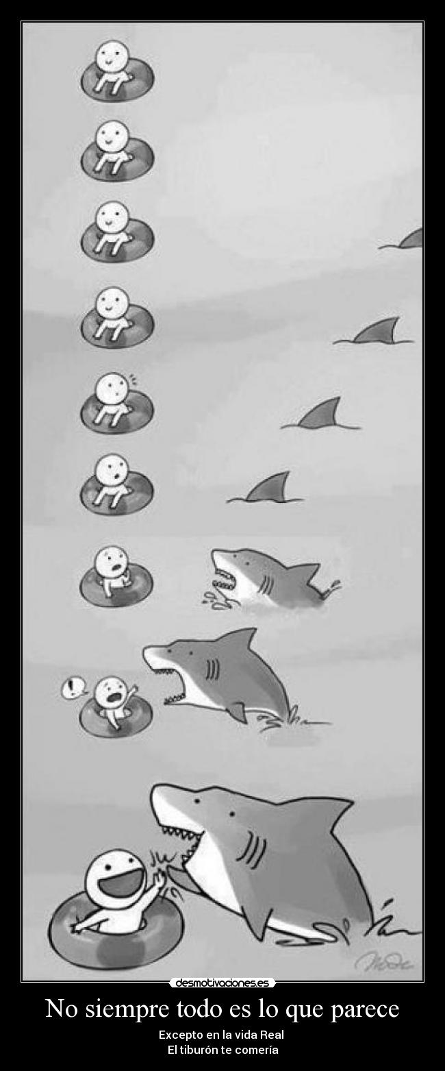 No siempre todo es lo que parece - Excepto en la vida Real
El tiburón te comería