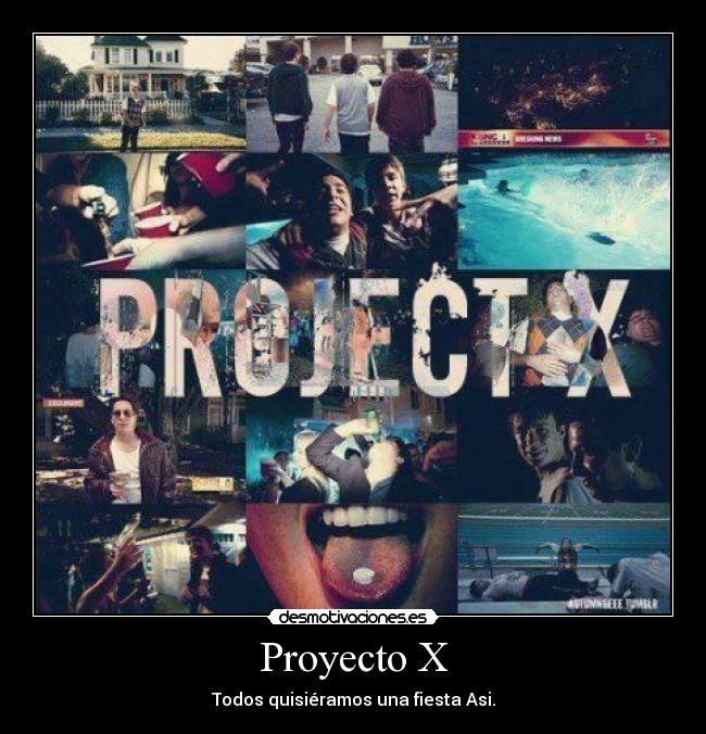 Proyecto X - 