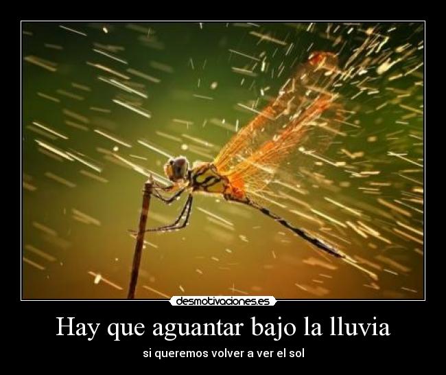 Hay que aguantar bajo la lluvia -