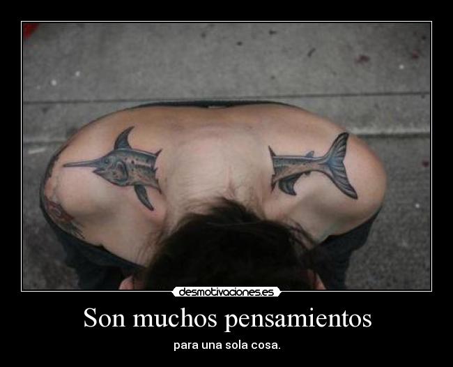 Son muchos pensamientos - 