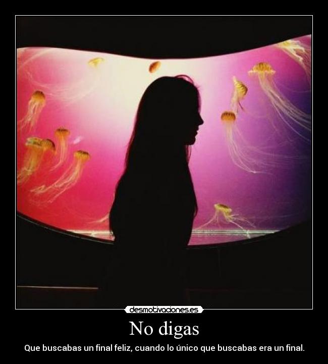 No digas - Que buscabas un final feliz, cuando lo único que buscabas era un final.
