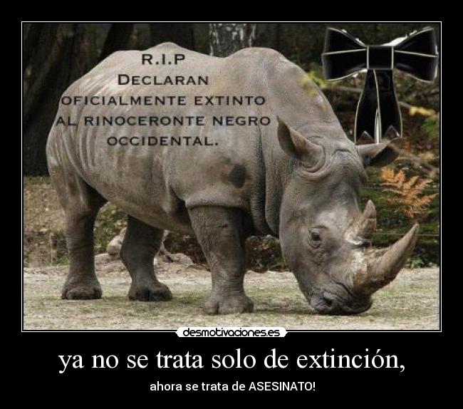 ya no se trata solo de extinción, -