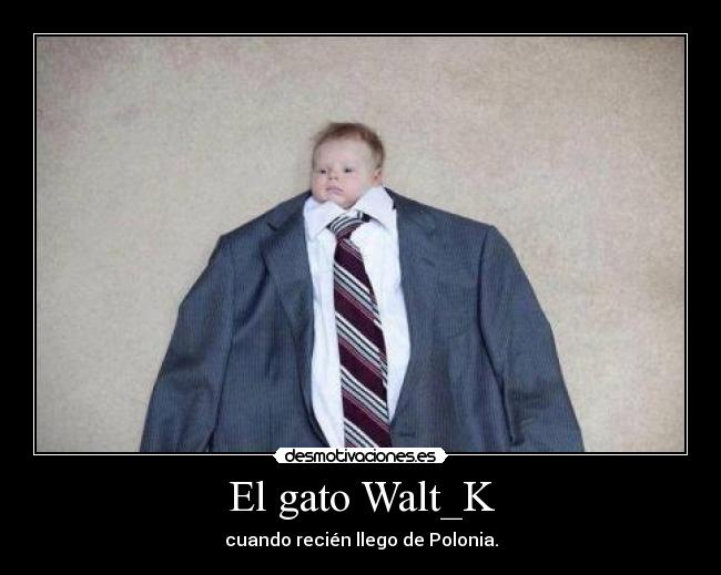 carteles recien llegado desmotivaciones