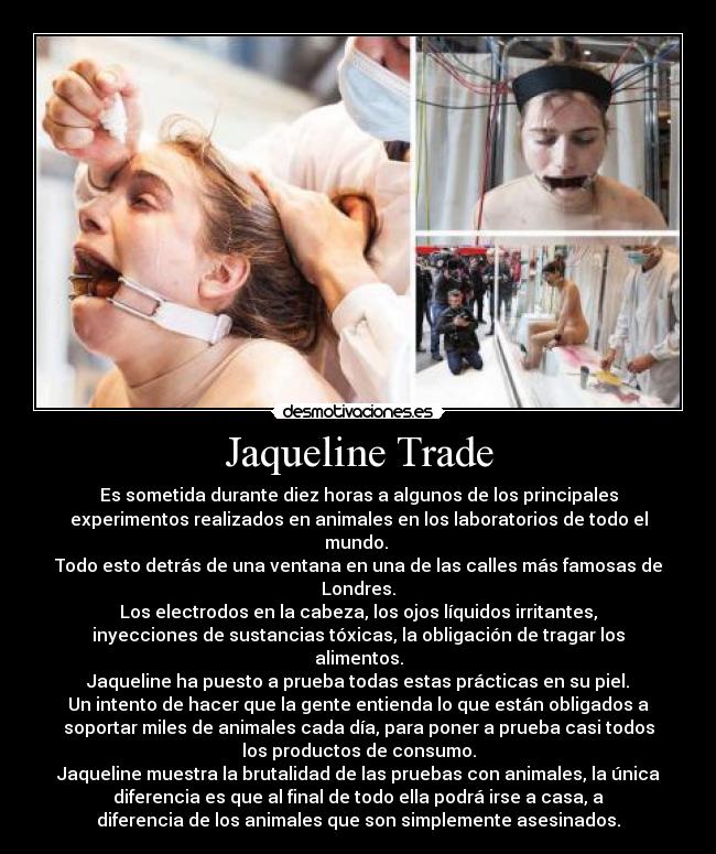 Jaqueline Trade - Es sometida durante diez horas a algunos de los principales
experimentos realizados en animales en los laboratorios de todo el
mundo.
Todo esto detrás de una ventana en una de las calles más famosas de
Londres.
Los electrodos en la cabeza, los ojos líquidos irritantes,
inyecciones de sustancias tóxicas, la obligación de tragar los
alimentos.
Jaqueline ha puesto a prueba todas estas prácticas en su piel.
Un intento de hacer que la gente entienda lo que están obligados a
soportar miles de animales cada día, para poner a prueba casi todos
los productos de consumo.
Jaqueline muestra la brutalidad de las pruebas con animales, la única
diferencia es que al final de todo ella podrá irse a casa, a
diferencia de los animales que son simplemente asesinados.