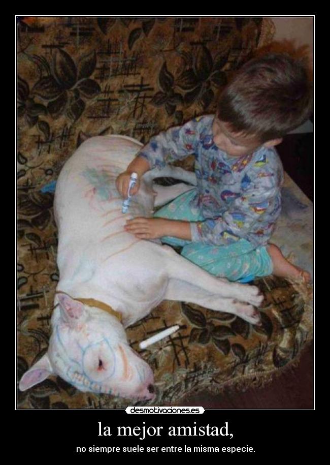 la mejor amistad, - no siempre suele ser entre la misma especie.