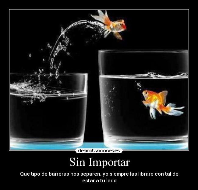 Sin Importar - Que tipo de barreras nos separen, yo siempre las librare con tal de estar a tu lado