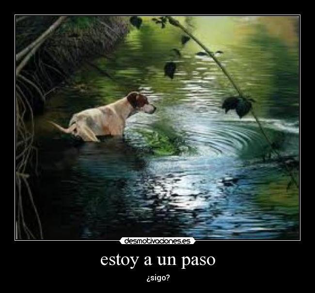 estoy a un paso - ¿sigo?