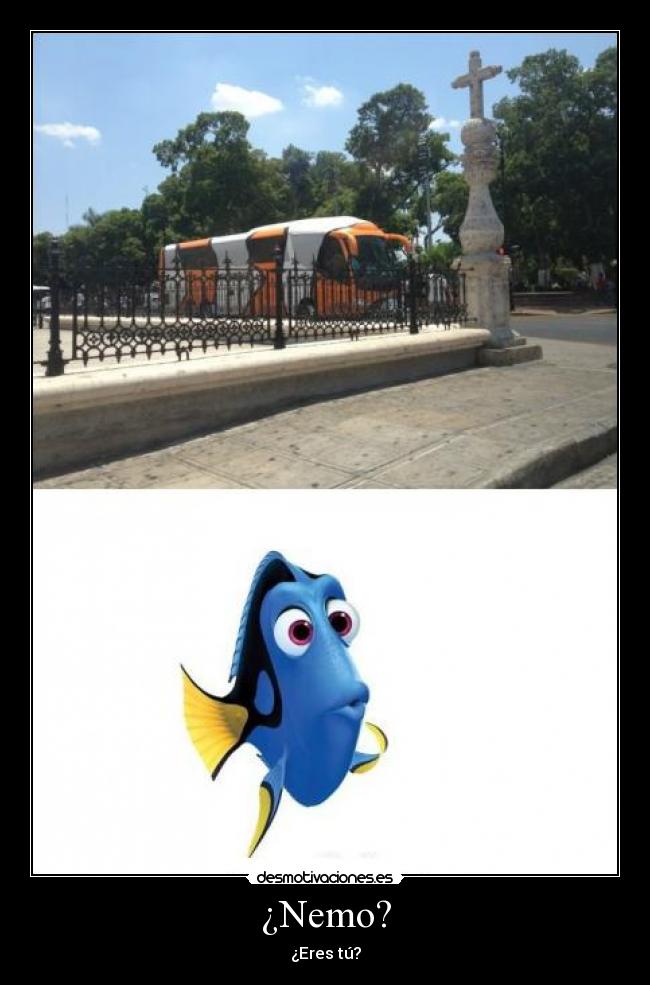 ¿Nemo? - 