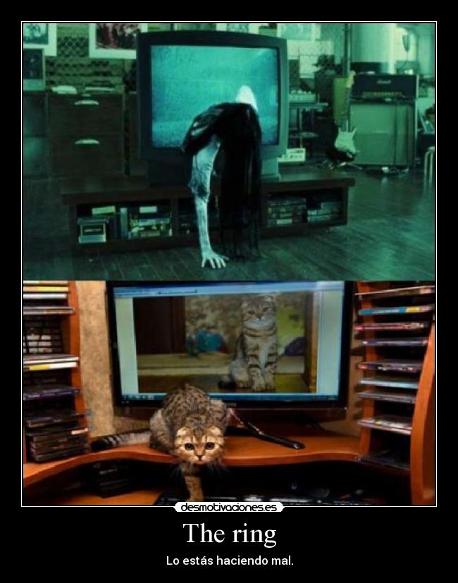 The ring - Lo estás haciendo mal.